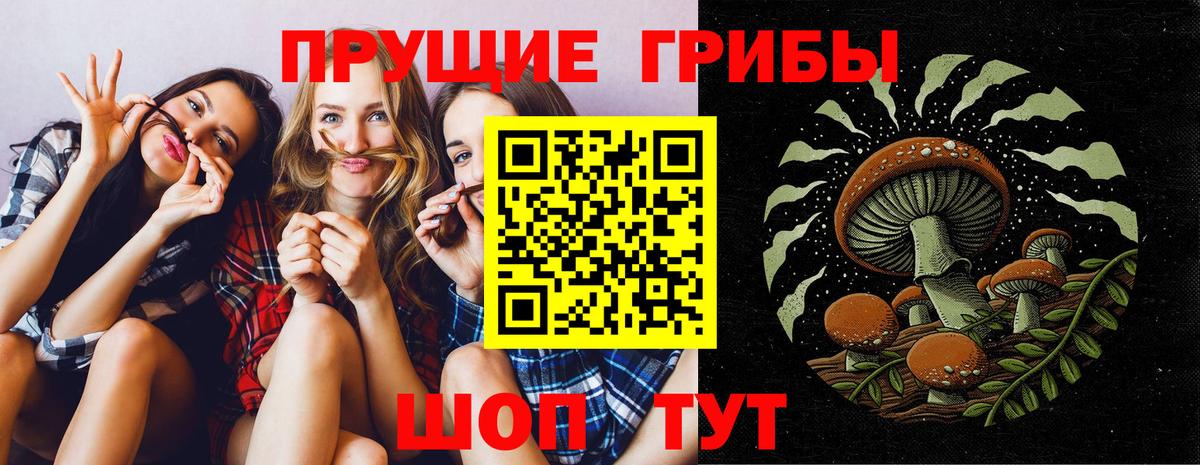 Псилоцибиновые грибы мицелий Чусовой