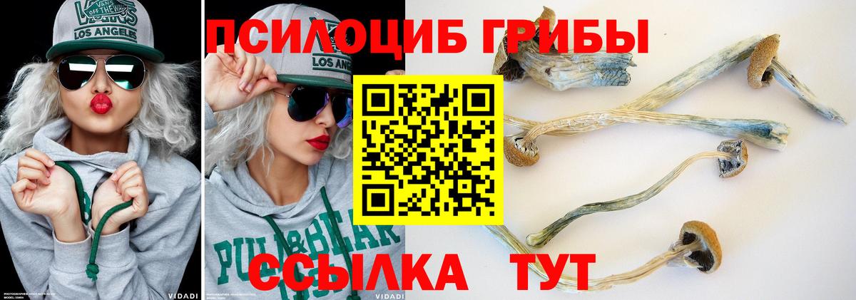 Галлюциногенные грибы ЛСД  Вход с VPN  Чусовой 